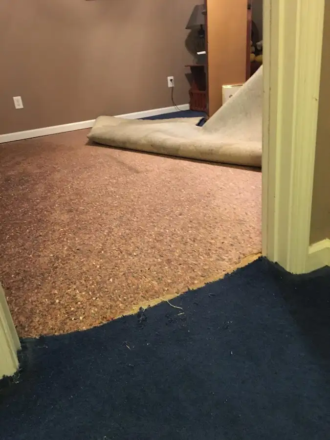 Carpet pad removal revealing water damage during Water Mitigation Services in Santa Rosa