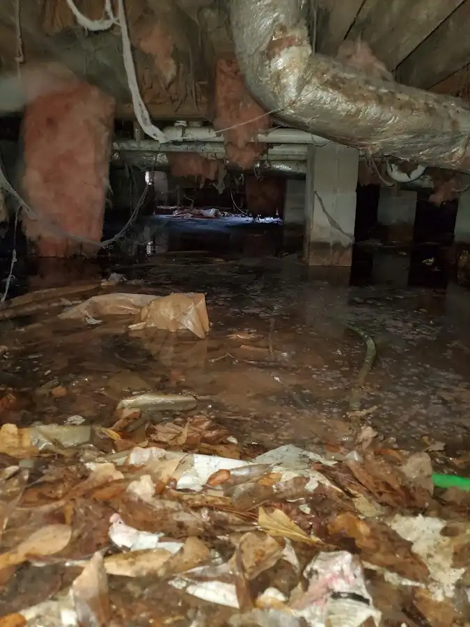 Crawl space flood assessment for Leak Detection & Repair in Santa Rosa