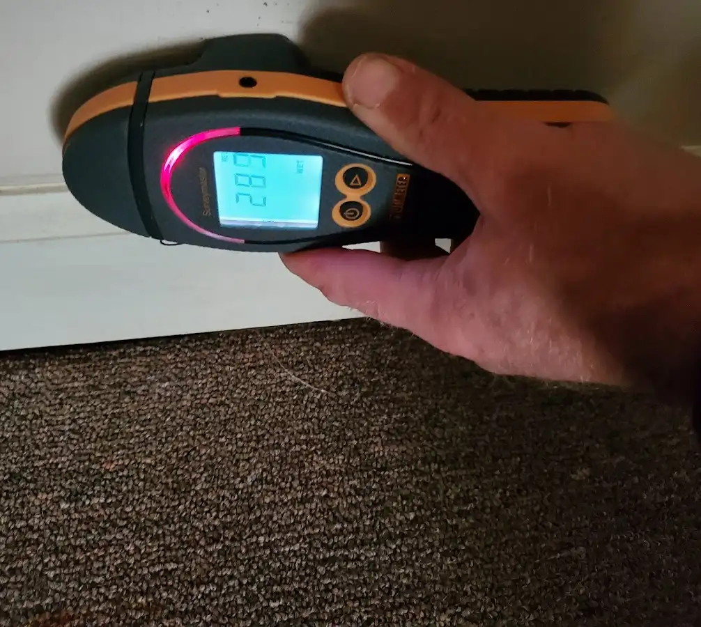 Moisture detection at baseboard during Sewage Cleanup & Sanitation in Santa Rosa